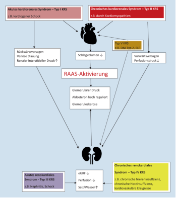 II型心肾综合征模型构建：从原理到实践的全方位技术解析