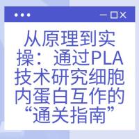 从原理到实操：通过PLA技术研究细胞内蛋白互作的“通关指南”