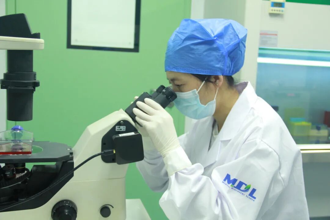 MDL助您拿捏细胞转染的“科技与狠活”