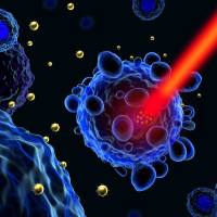 PVP/羧甲基纤维素钠（CMC）溶微针精准递送利多卡因实现局部麻醉