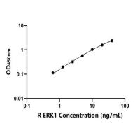 大鼠细胞外信号调节激酶1(ERK1)ELISA试剂盒