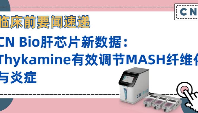CN Bio肝芯片新数据｜Thykamine有效调节MASH纤维化与炎症