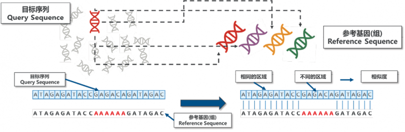 生信分析大揭秘：4种组学常见流程与应用前景全解析