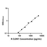 大鼠封闭蛋白1(CLDN1)ELISA试剂盒