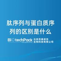 肽序列与蛋白质序列的区别是什么-百泰派克生物科技