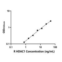 大鼠组蛋白脱乙酰基酶1(HDAC1)ELISA试剂盒