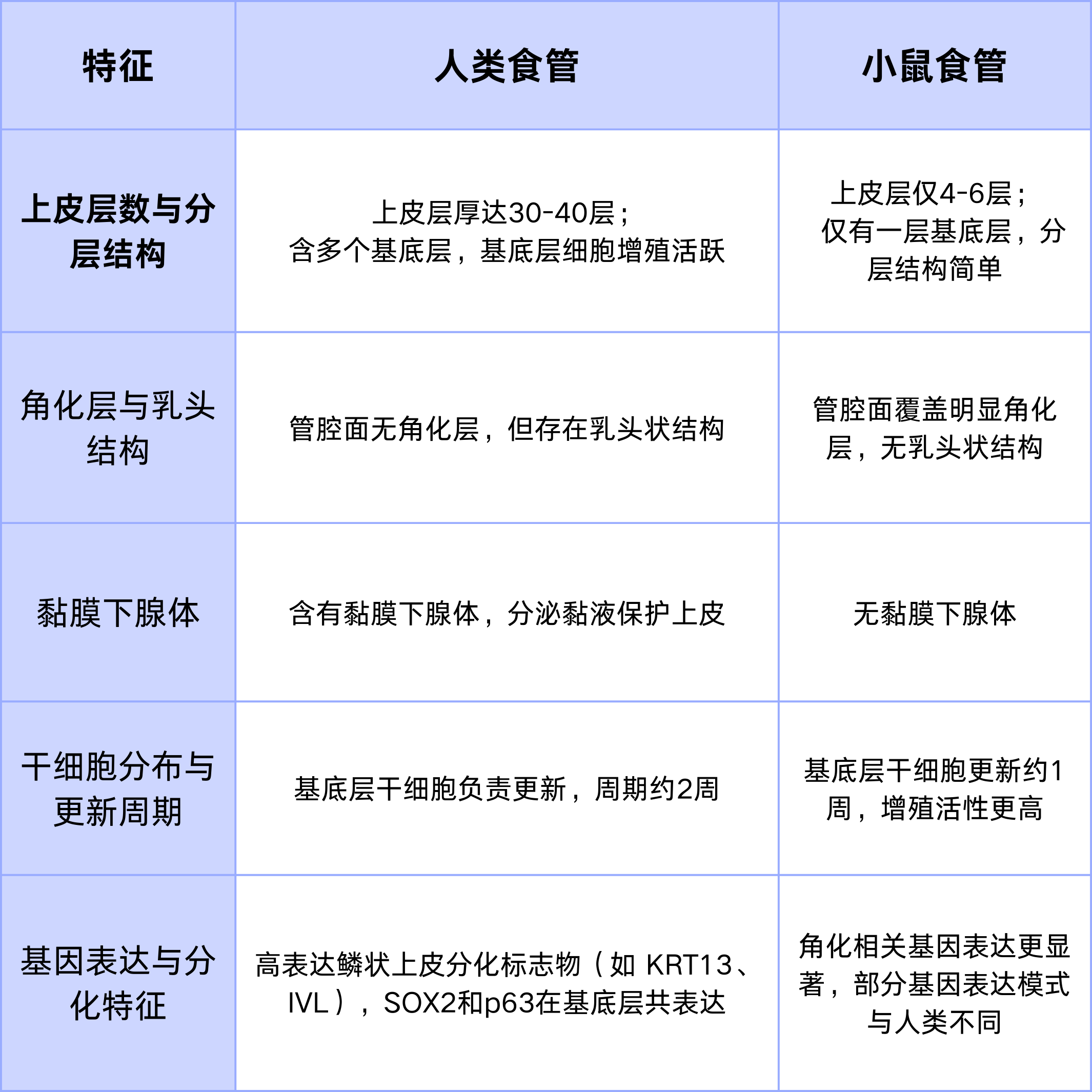 【类器官技术全解析】揭秘食管类器官的建立与应用