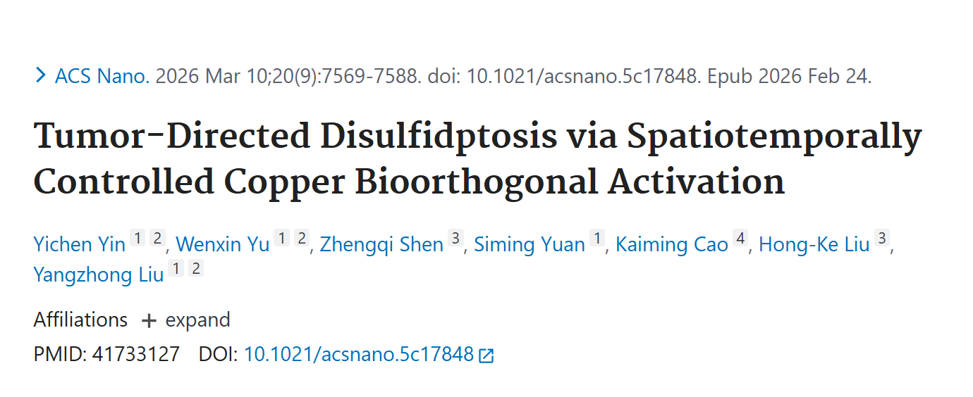 基于肿瘤内生物正交化学原位合成药物协同诱导二硫化物死亡与铜死亡的研究