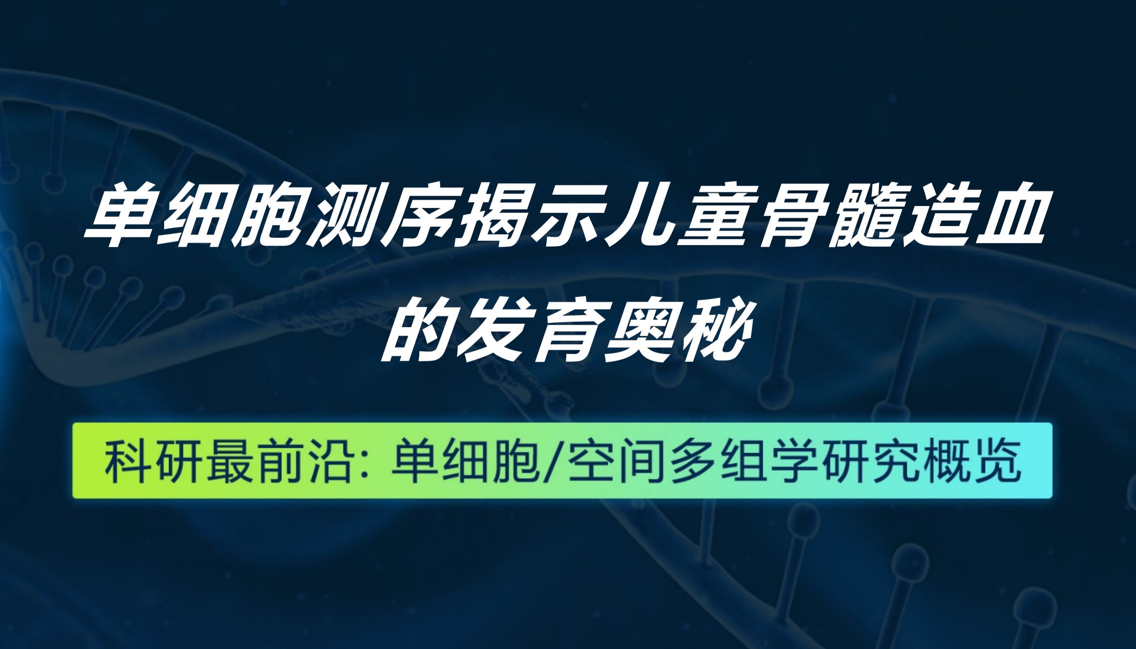 Nature Immunology丨单细胞测序揭示儿童骨髓造血的发育奥秘