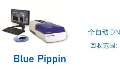 全自动DNA脉冲场电泳回收仪精准制备ATAC-seq 与 ChIP-seq 文库，揭秘lncRNA&nbsp;在癌症治疗和干细胞研究中新功能