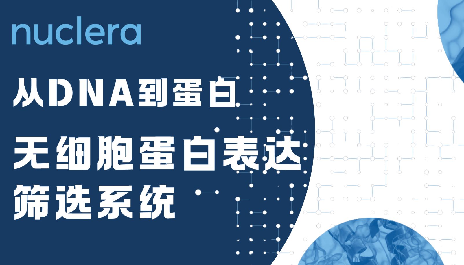 【曼博生物】Nuclera无细胞蛋白表达筛选系统：加速蛋白表达与功能研究的新工具