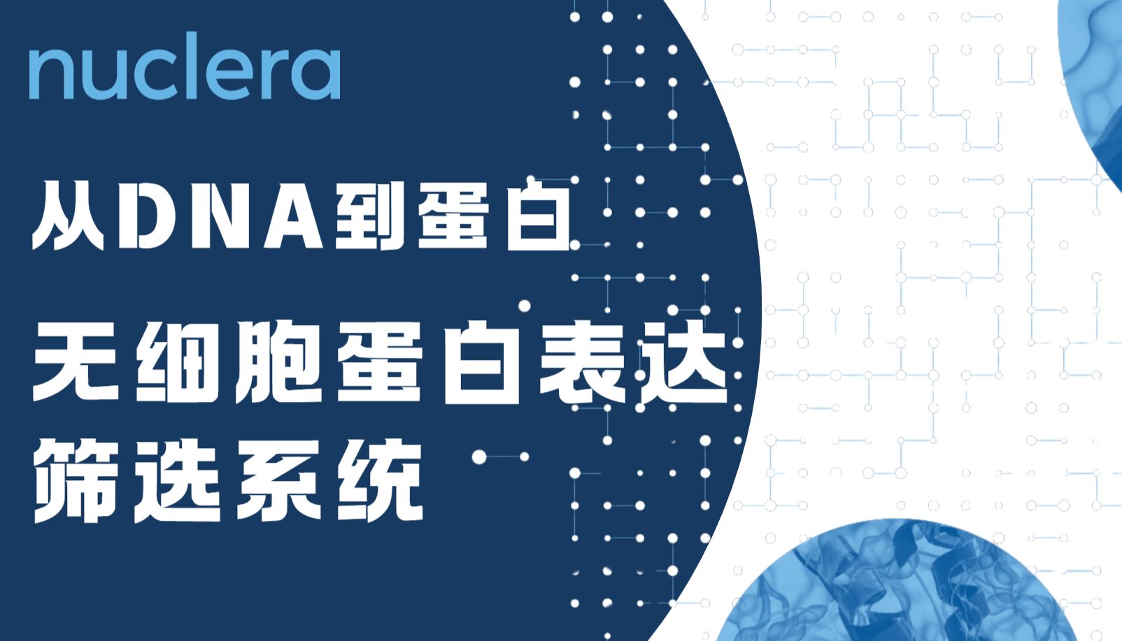 蛋白表达筛选系统：Nuclera无细胞蛋白表达技术如何加速蛋白研究