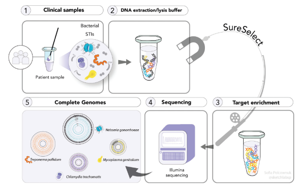 四种方案 PK，只有安捷伦 SureSelect 精准“钓”出性病元凶，破解低丰度病原体测序难题