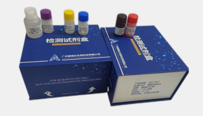 ELISA试剂盒使用前，组织样本如何处理？