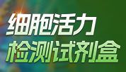 CTF系列！无损检测细胞活力