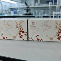 纤维素酶（cellulase，CL）/羧甲基纤维素酶活性测定试剂盒