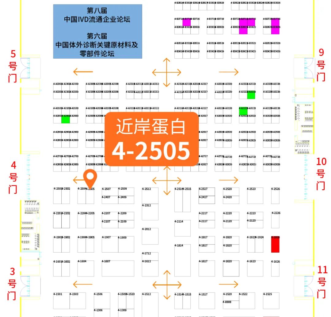智汇厦门，创领未来，近岸蛋白邀您相约2026 CACLP