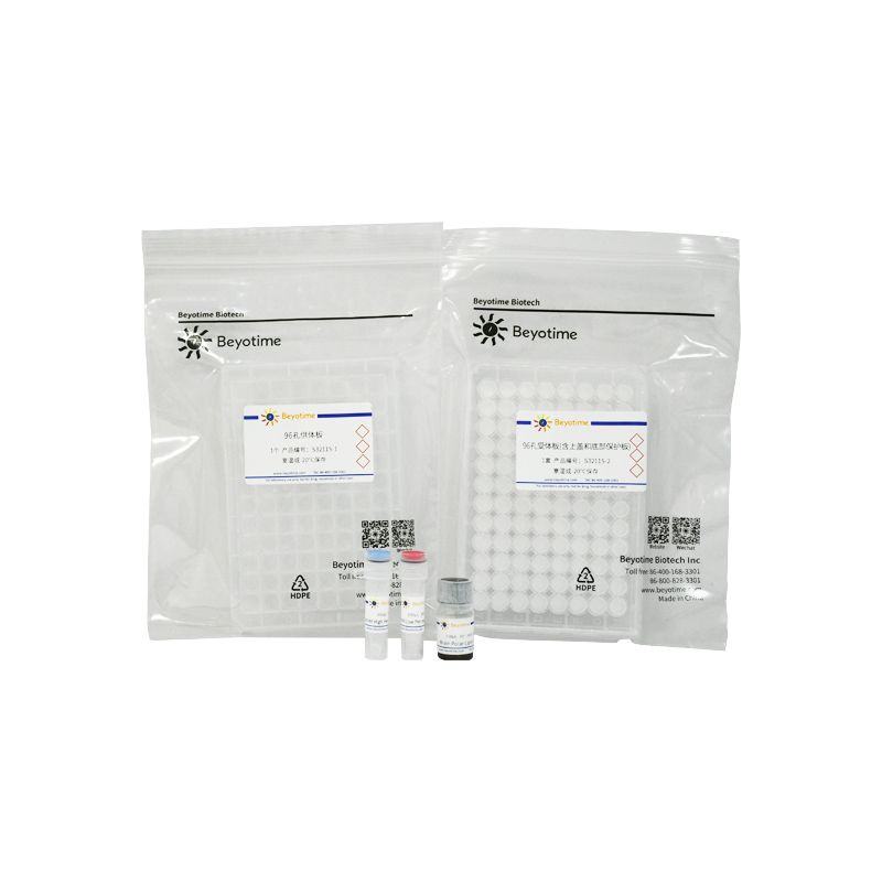 平行人工膜血脑屏障通透性检测试剂盒(PAMPA-BBB)