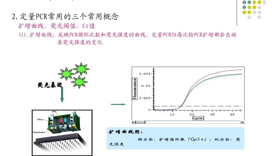 PCR核酸扩增实验常见问题