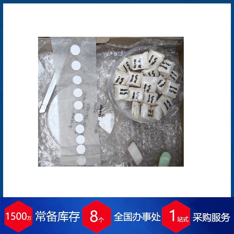 德国Fraunhofer微滤平板膜