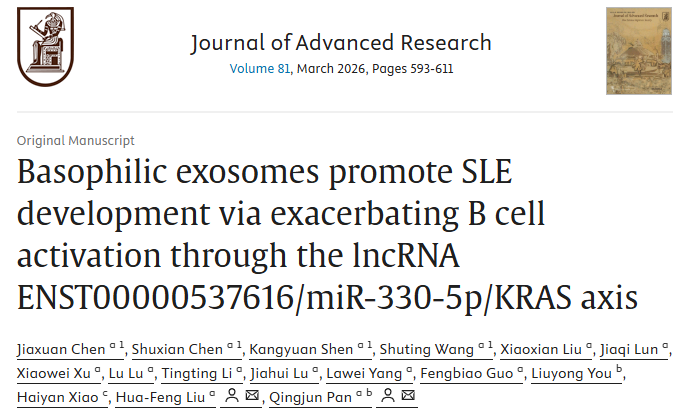 嗜碱性粒细胞外泌体给B细胞“火上浇油”？广东医团队揭秘嗜碱性粒细胞外泌体促系统性红斑狼疮发病新机制！