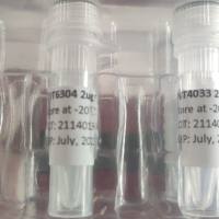 pLenti-U6-Becn1-shRNA1-Cas9-Hyg Plasmid