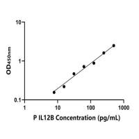 猪白介素12B(IL12B)ELISA试剂盒