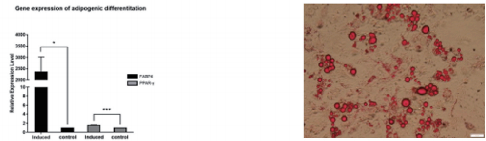 产品细节图片12