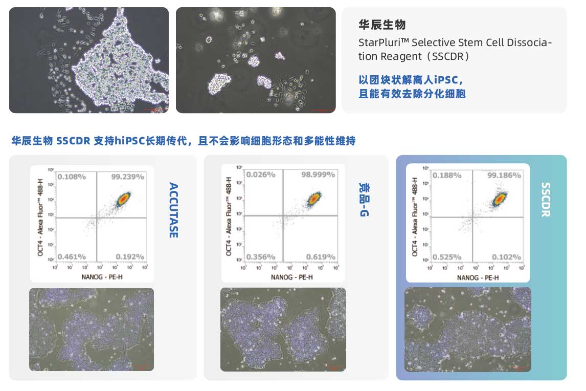 产品细节图片10