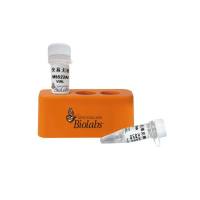 快易无缝克隆预混液​ | NEB