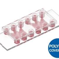 德国ibidi 组织工程微流控载玻片80236 80231 80236-90 80236-120