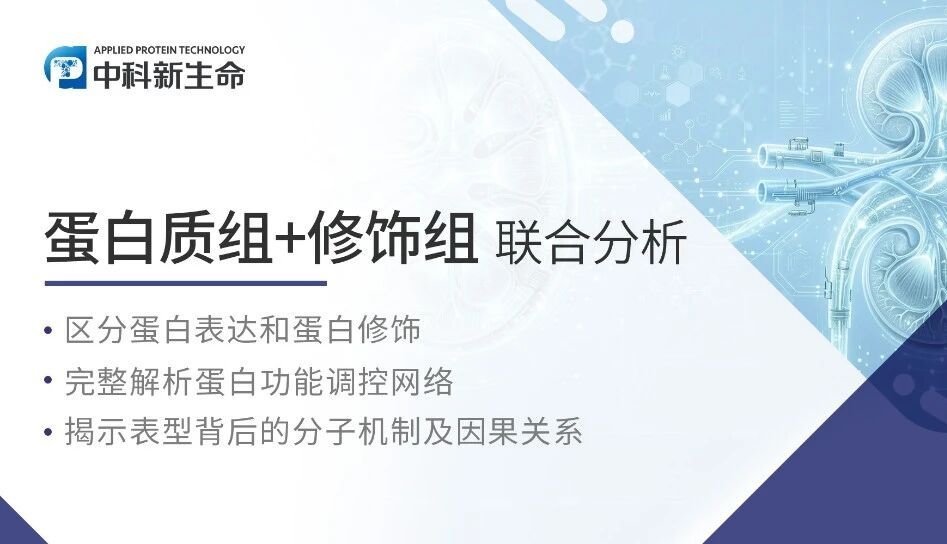 项目文章Science子刊 | 老药新用，刘志红院士团队破解阿卡波糖通过激活USP46保护肾脏新机制 - 拷贝