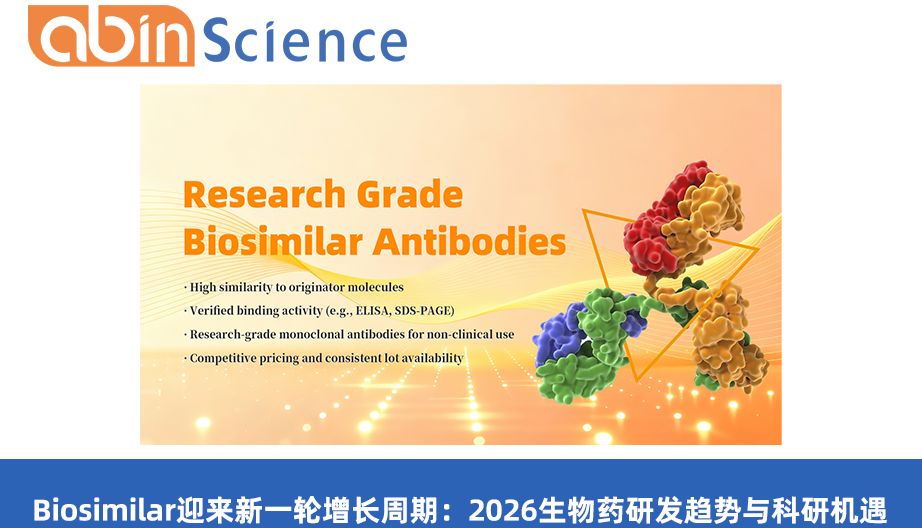 Biosimilar迎来新一轮增长周期：2026生物药研发趋势与科研机遇