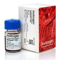 11153D Dynabeads人CD45磁珠5ml 现货 分离或去除 CD45+ 白细胞