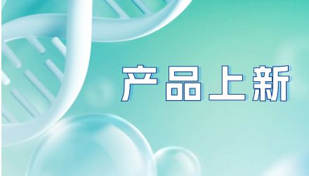 抗小鼠SIRPα抗体（克隆号：P84）--免疫功能研究工具