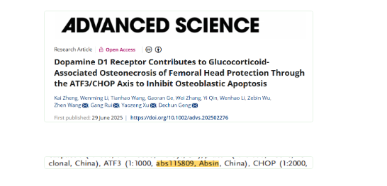 GC-ONFH 治疗困局待解！DRD1-ATF3/CHOP 轴机制揭秘，Madopar 迎新方向