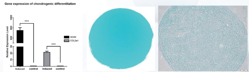 产品细节图片14