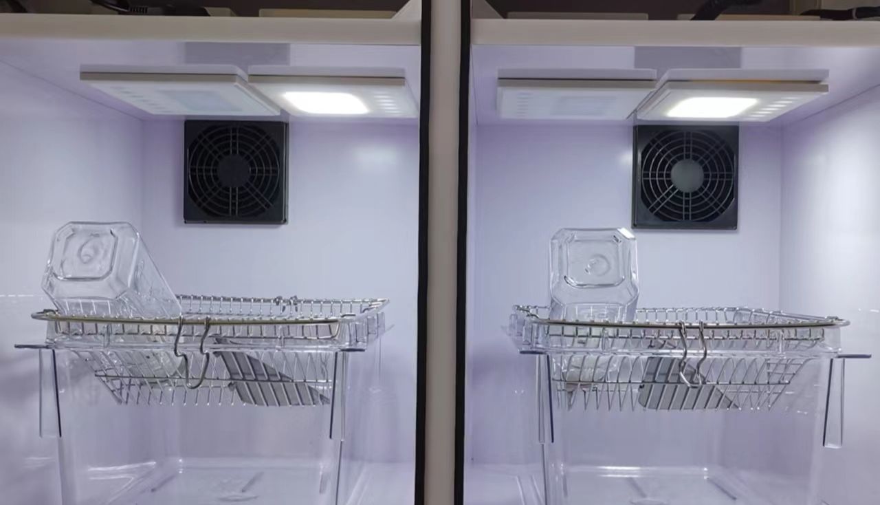 大小鼠光照节律控制笼