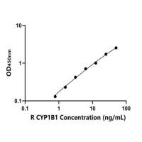 大鼠细胞色素P450家族成员1B1(CYP1B1)ELISA试剂盒