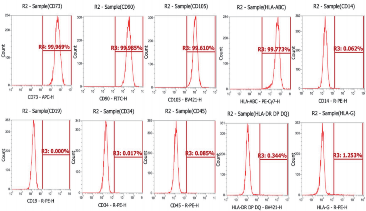 产品细节图片10