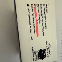 37002D Dynabeads™ MyOne™ Silane 磁珠现货 分离DNA和RNA磁珠