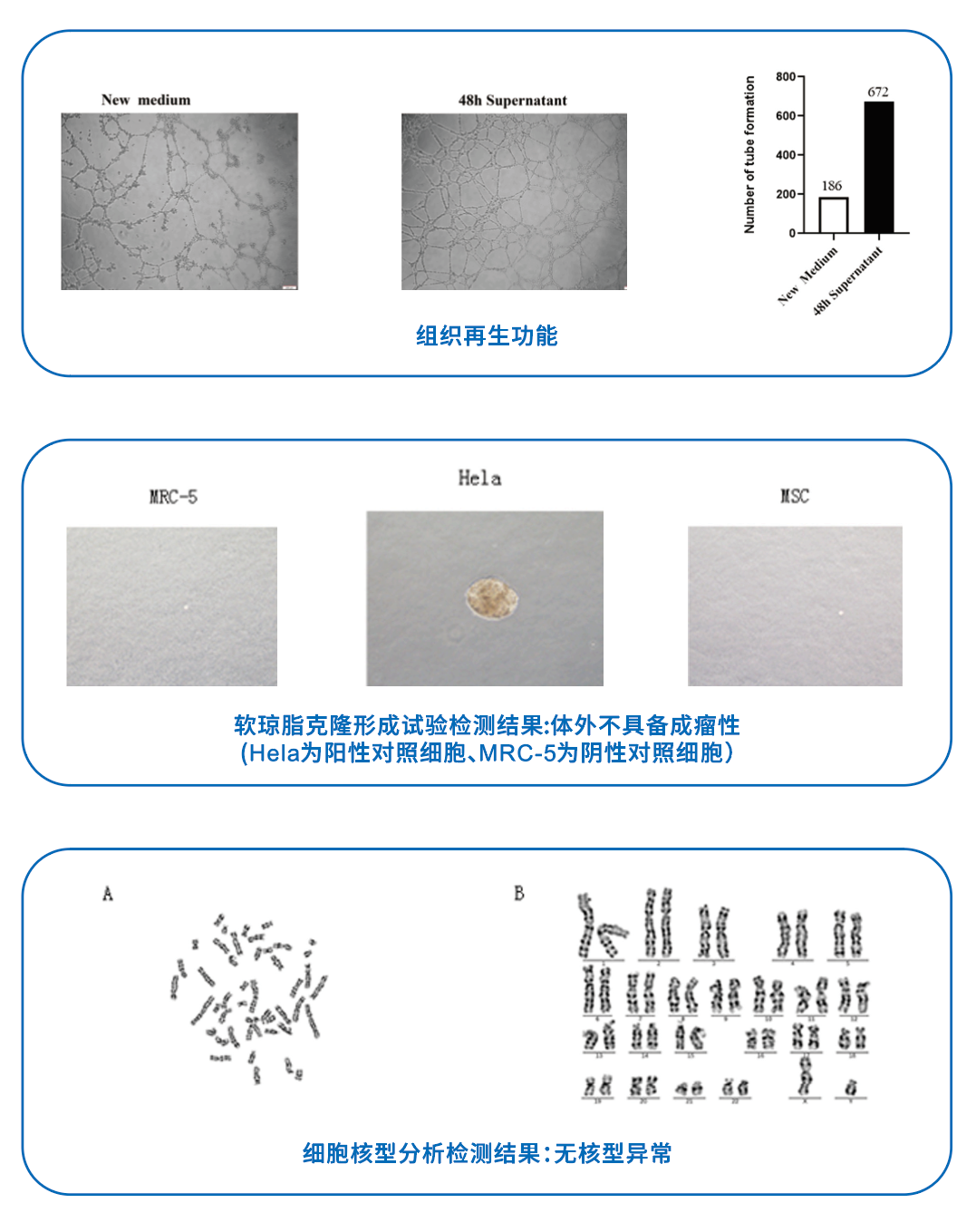 产品细节图片15