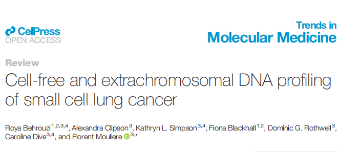 IF=13.8 综述文章 | 小细胞肺癌的无细胞和染色体外DNA分析