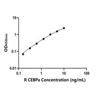 大鼠CCAAT增强子结合蛋白α(CEBPa)ELISA试剂盒