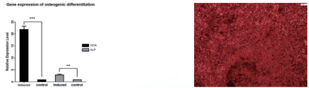 产品细节图片13