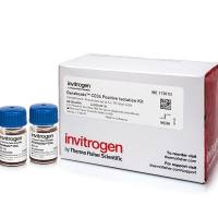 11301D Dynabeads人CD34 阳性分离试剂盒 现货