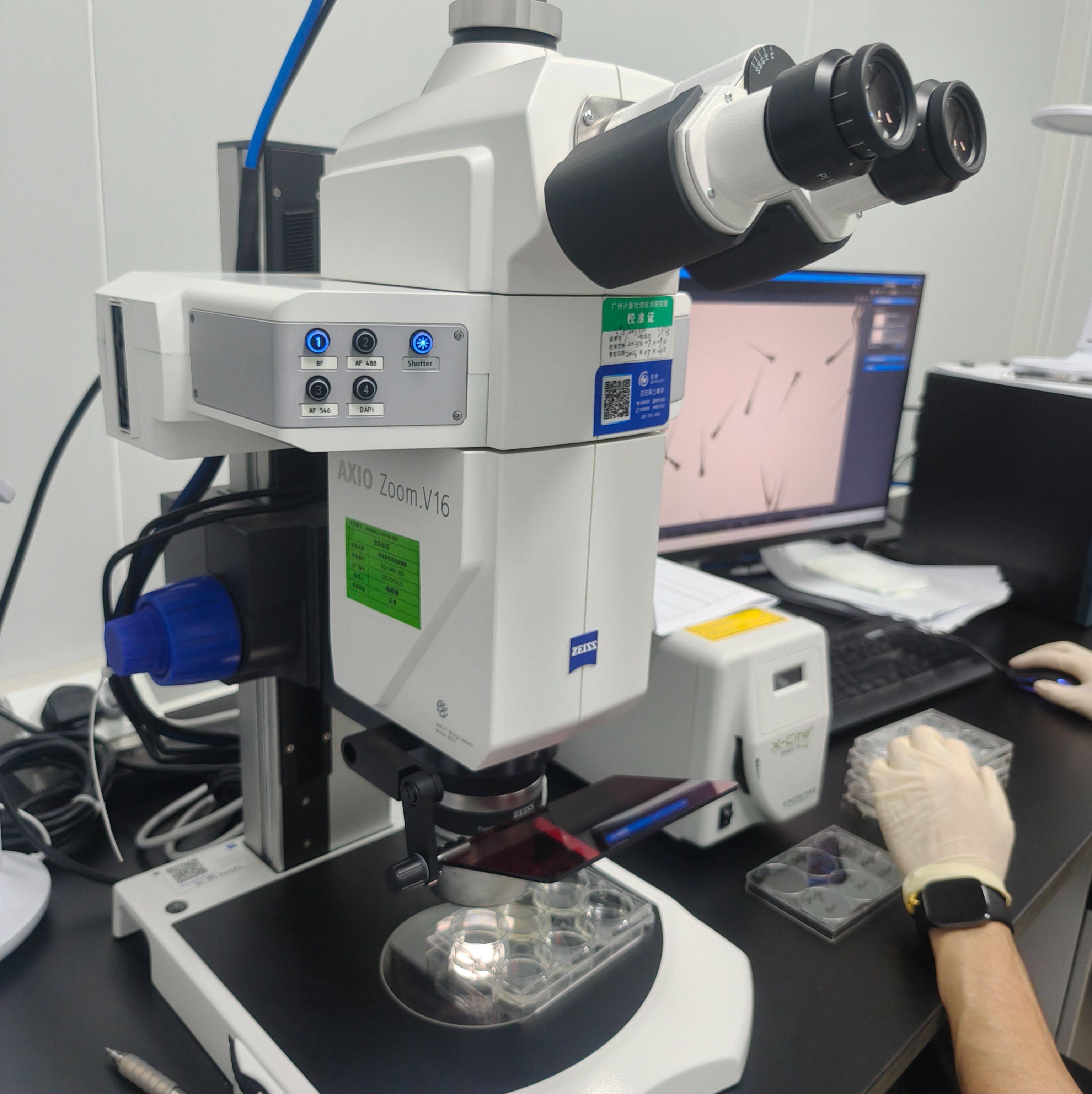 斑马鱼实验｜小鼠实验｜细胞实验｜线虫实验一站式CRO实验外包服务