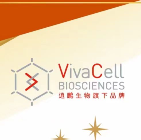 VivaCell货号C37C0-0150间充质干细胞成骨分化染色试剂盒19121878899上海睿安生物VivaCell官方正式授权代理商