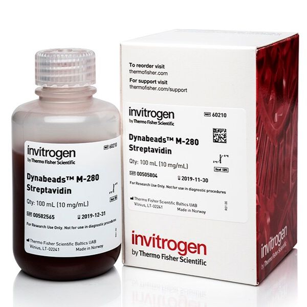 60210 Dynabeads™ M-280 Streptavidin 100 mL 链霉亲和素