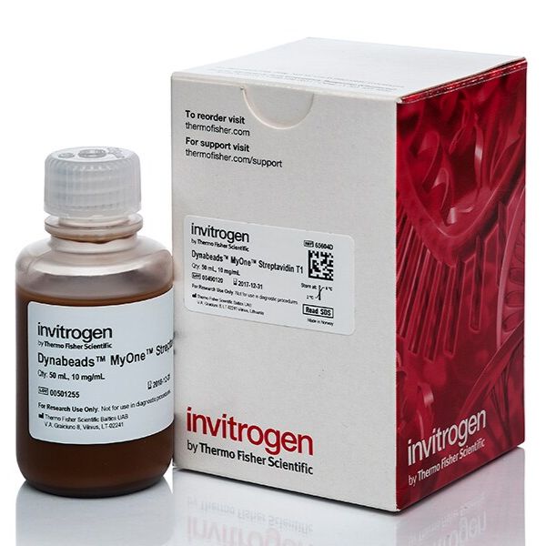 65604D Dynabeads MyOne 链霉亲和素 T1 50ml 现货